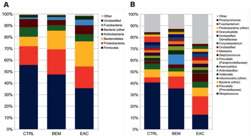 Fig 2. Barplots of the relative abundance of the main bacterial taxa at (A) phylum or (B) genus level for BEM, EAC or healthy control samples