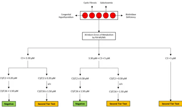 Figure 1. Workflow of the second-tier test strategy in the management of C3 alterations