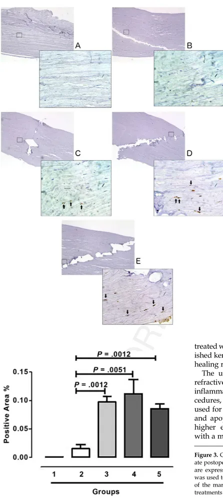 Figure 2. Interleukin-18 e xpression after manual sur- Q1 gery (B: Group 2) and use of the femtosecond laser technique at 3 mJ (C: Group 3), 6 mJ (D: Group 4), and 15 mJ ( E: Group 5) energy settings evaluated via immunohistochemistry early (5 minutes) aft