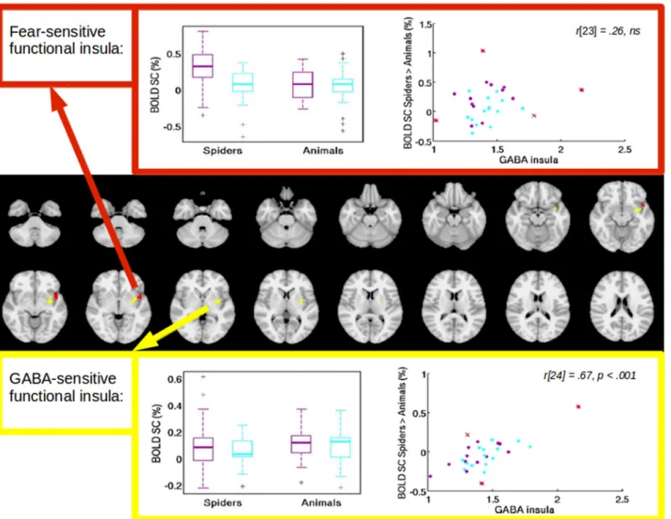 Fig 5. Two clusters within the spectroscopy voxel, both from contrast SPIDERS &gt; ANIMALS, red: cluster in the left anterior insula obtained from group level analysis of the contrast SPIDERS &gt; ANIMALS, yellow: cluster in the left anterior insula obtain