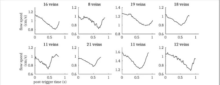FIGURE 5 | Cardiac cycle synchronized venous blood flow time-courses for each subject (mean across all pulsatile cortical veins; N.B