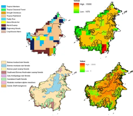 Fig. 4. Land cover distributions for Borneo used by the global biogenic VOC emissions inventory of Guenther et al., 1995) (top left) and