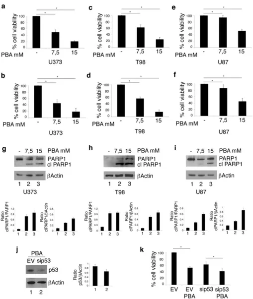 Figure 1. Phenylbutyrate (PBA) reduces cell survival and induces cell death in U373 and T98 glioblastoma cells more efficiently than in U87 glioblastoma cells