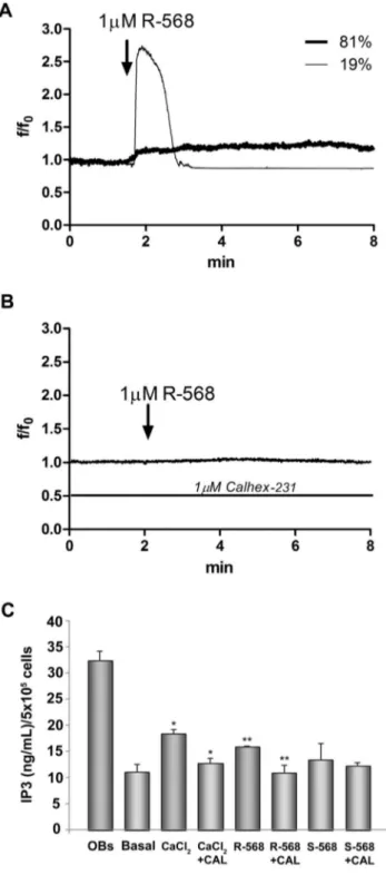 Figure 8. Intracellular Ca 2+ and IP3 variations in oAFMSCs stimulated with R-568. Temporal changes in intracellular Ca 2+ levels, expressed as f/f 0 ratio (see Material and Methods), were measured in oAFMSCs