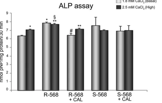 Figure 4. Effect of calcimimetics on ALP activity. ALP activity, detected at day 7, on oAFMSCs treated with calcimimetics pre-incubated (30 minutes) or not with Calhex-231 (1 mM, *p,0.0001 2.5 mM CaCl 2 vs Basal 1.8 mM CaCl 2 and R-568 vs Basal 1.8 mM CaCl