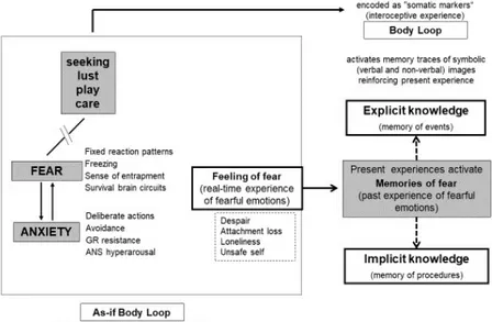 Figure 1. Schematic model of factors involved in fear and anxiety