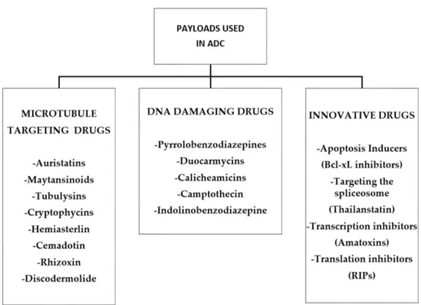 Figure 10. Summary diagram of the different classes of cytotoxic molecules used in ADC construction