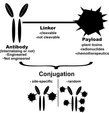 Figure 1. Schematic representation of various types of antibody-drug conjugates (ADCs) and their  components