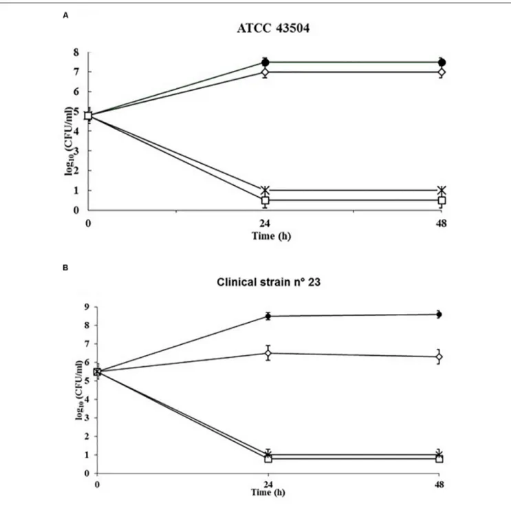 FIGURE 3 | Kinetics of the killing activity of SUNCs against H. pylori ATCC 43504 and the clinical isolate H