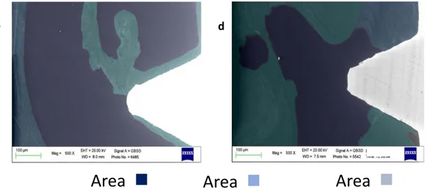 Figure 2. ESEM/EDX microanalysis of selected coronal and apical ROI of two different implants included in the study