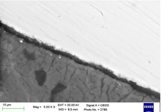Figure 4. ESEM microanalysis at 5000x magnifications, revealing a low electron-dense layer between the implant and the bone tissue
