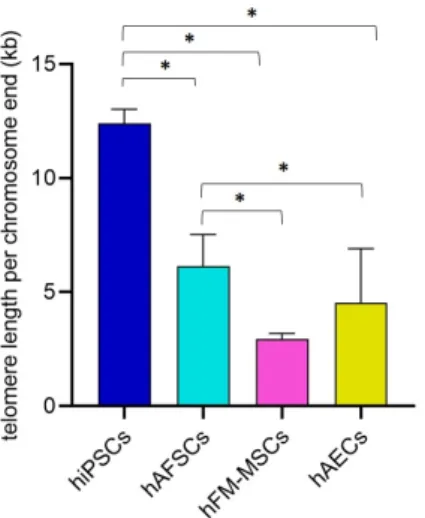 Figure 6. The telomere length per each chromosome end (in kb) in hiPSCs and perinatal SCs was quantified by qPCR