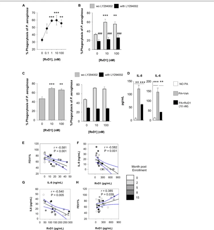 FIGURE 5 | Actions of RvD1 on phagocytes from volunteers with CF. Phagocytosis of P. aeruginosa by peripheral blood PMN (A,B) and PMN and M 8 in sputum (C) of volunteers with CF