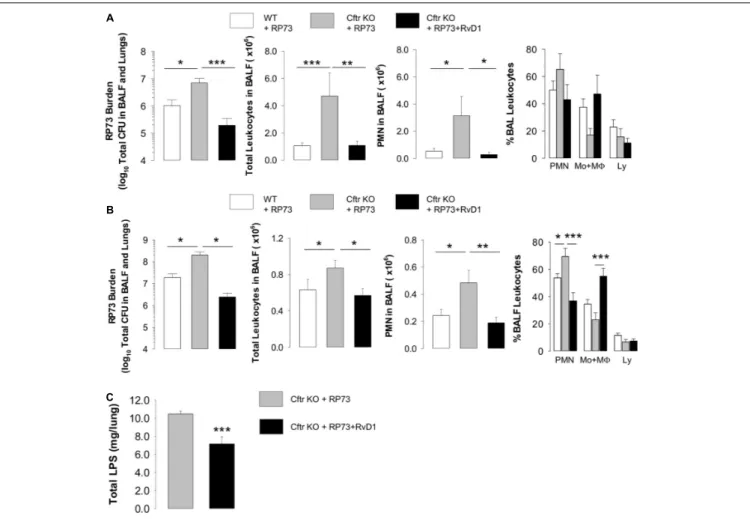 FIGURE 1 | RvD1 reduces P. aeruginosa-induced lung inflammation in CF mice. (A) Total lung bacterial titer, leukocyte count, PMN number, and percentage of total BAL leukocytes quantified at 5 DPI in Cftr KO mice inoculated with agar-embedded RP73 and treat