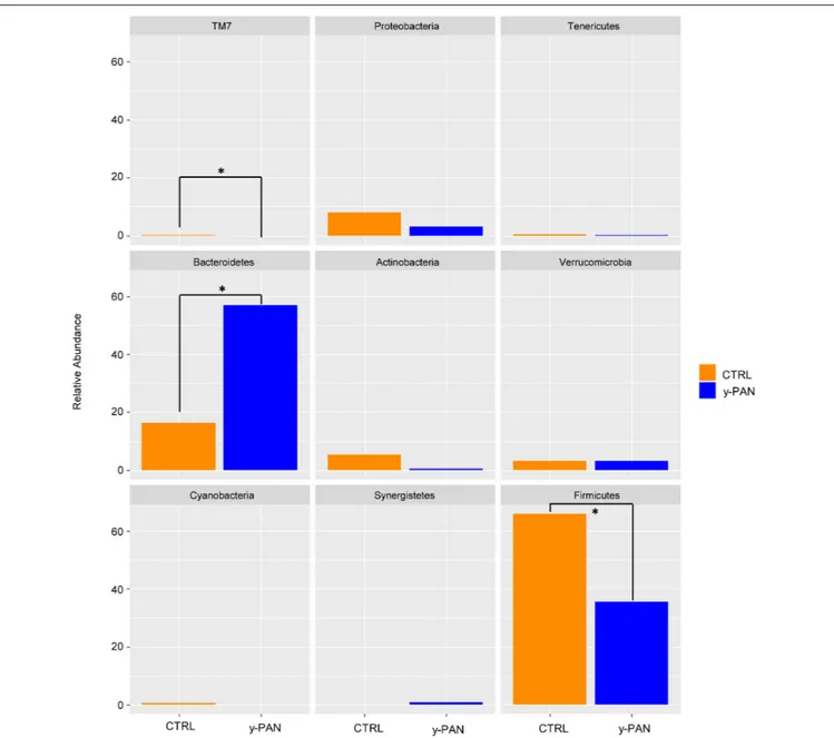 FIGURE 4 | Bar chart representing Wilcoxon test results on operational taxonomic units (OTUs) at the phylum level of gut microbiota from the CTRL and y-PAN groups