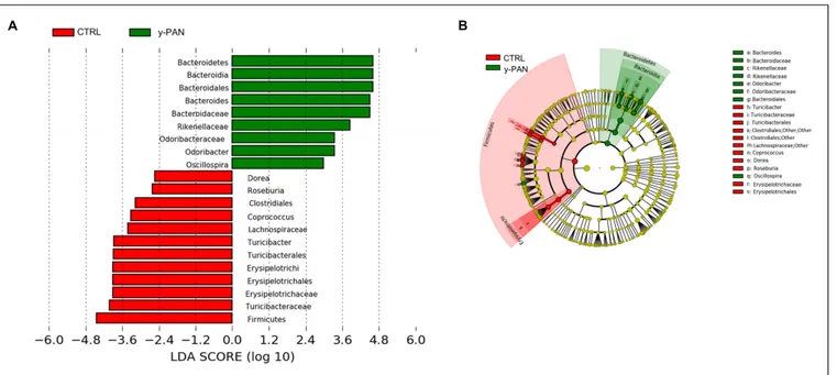 FIGURE 5 | OTU biomarkers associated with y-PAN and CTRL groups. (A) A linear discriminant effect size (LeFse) analysis was performed ( α value = 0.05, logarithmic LDA score threshold = 2.0)