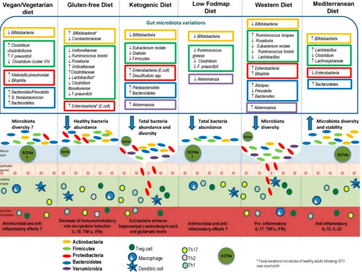 Figure 2. Effects of different types of diet on gut microbiota, mucus layer, and immune cells