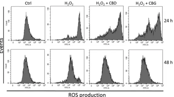 Figure 2. Reactive oxygen species (ROS) production in CTX-TNA2 astrocyte cell line exposed to 