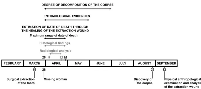 Fig. 6. Illustration of the chronological period of events deﬁned in this medico-legal case, and the estimated date of death of the subject according to the different methodologies used
