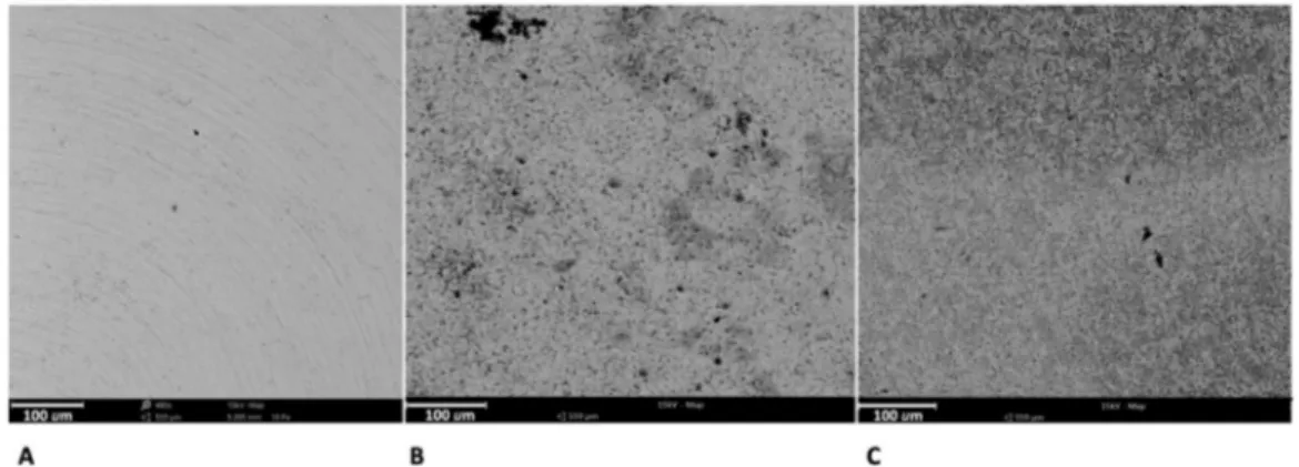 Figure 1. The superficial micro-topography observed at SEM of machined discs (A), single-etched discs (B), and double-etched (DAE) ones (C)