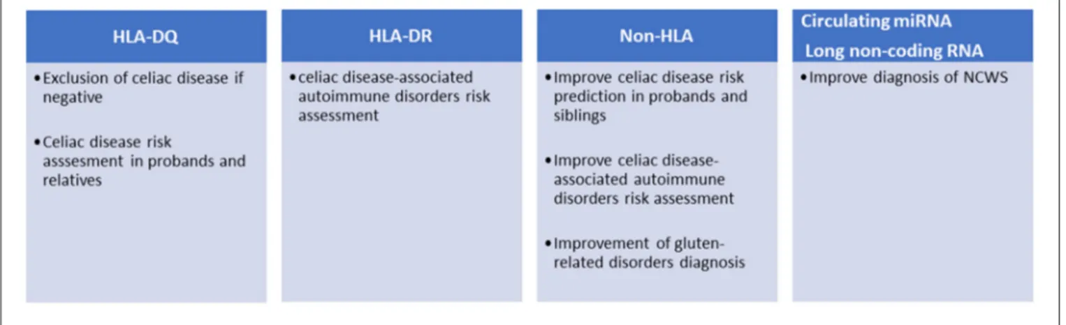 FIGURE 1 | Current and potential clinical applications of genetic markers in gluten-related disorders.
