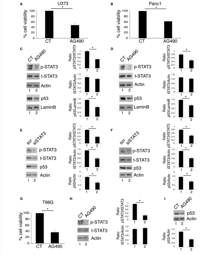 FIGURE 1 | STAT3 inhibition reduces cell survival and mutp53 expression in U373 and Panc1 cell lines