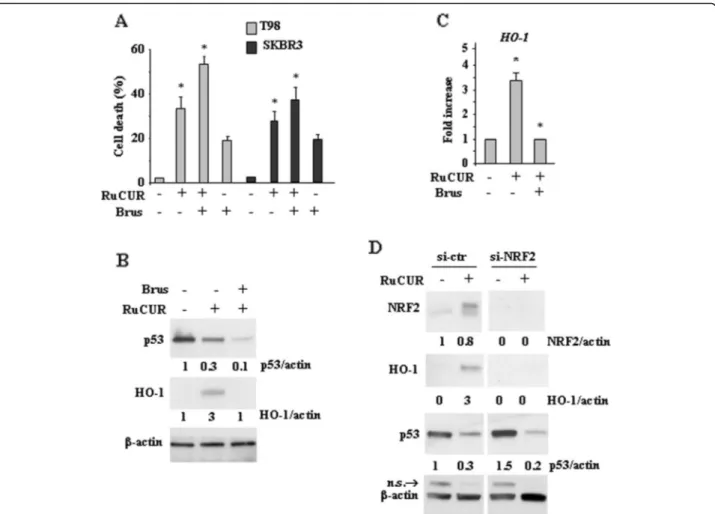 Fig. 5 Targeting NRF2 pathway increases cell death of mutp53-carrying cancer cells. (a) Cell viability was measured by trypan blue exclusion assay in T98 and SKBR3 cells pre-treated with brusatol (100 nM for 4 h) prior to adding RuCUR (100 μM) for 24 h and