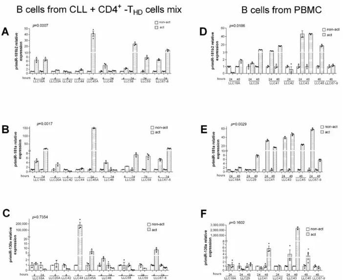 Figure 2. Exogenous activation of T cells increases pri-miR-181b and pri-miR-181a expression levels in CLL cells