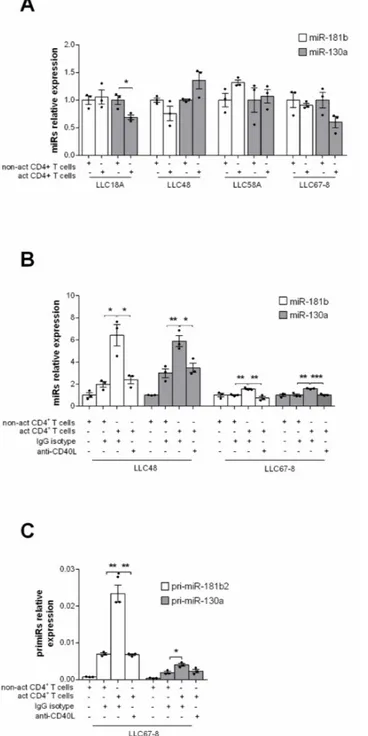 Figure 3. MiR-181b and miR-130a are up-regulated by CD40–CD40L interactions. (A) Relative ex- ex-pression by RT-qPCR of miR-181b and miR-130a in pure CLL cells co-cultured in a transwell with  either activated or non-activated healthy CD4+ T cells for 4 h