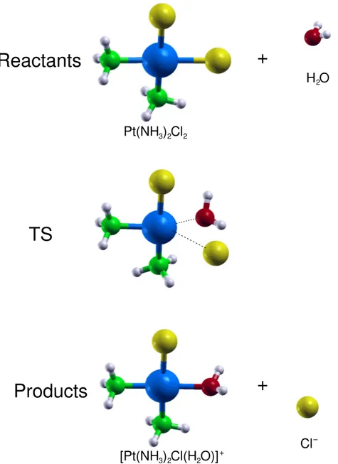 Figure 4. Side views of the reactants, transition state (TS) and products optimized structures related to the CP hydrolysis reaction