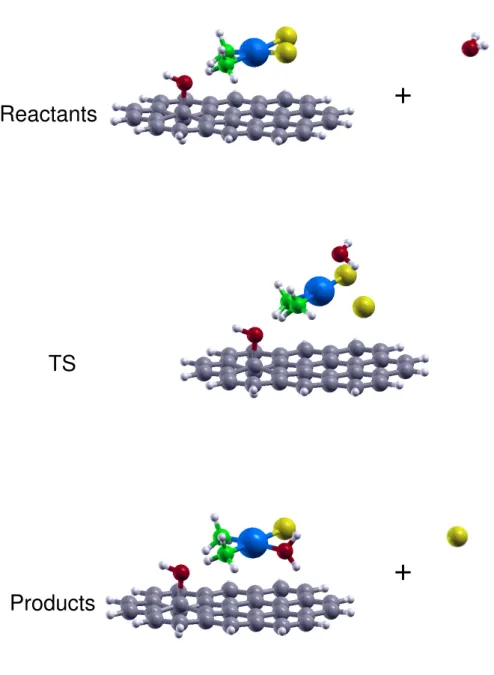 Figure 5. Side views of the reactants, transition state (TS) and products optimized structures related to the CP hydrolysis reaction with the drug adsorbed on a hydroxy site of a GO (or rGO) platelet
