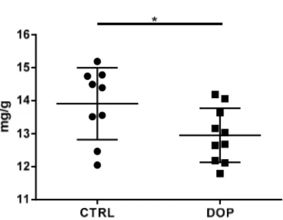 Figure 3. Effect of DOP-supplemented diet on egg yolk cholesterol. Cholesterol amount was  recorded in individual eggs collected at the end of the supplementation time (28 days)