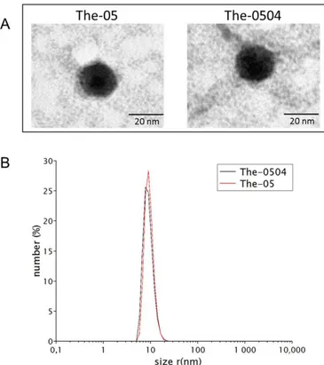 Figure  3.  Biophysical  characterization  of  the  The-05  nanocarrier  before  and  after  Genz-644282  encapsulation
