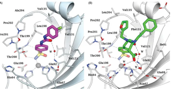 Figure 6. Historical overview on the discovery of the main chemotypes with CA inhibitory activity.