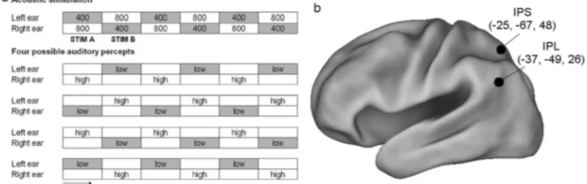 Figure  2  shows the individual behavioral results following the two stimulation sites (IPL, pIPS) during the  octave illusion in the two blocks, respectively