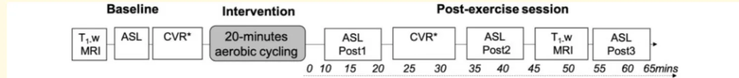 Figure 1 Study design. MRI measures were recorded up to 65-min after exercise cessation