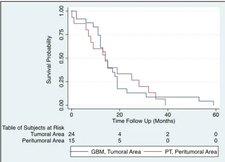 Figure 5.  Survival of GBM patients is inversely correlated to MGMT expression in the PT area: The  Kaplan–Meier plot depicts the differences in survival when patients with a percentage of  MGMT-positive cells &gt;50% were stratified based on the tissue ar