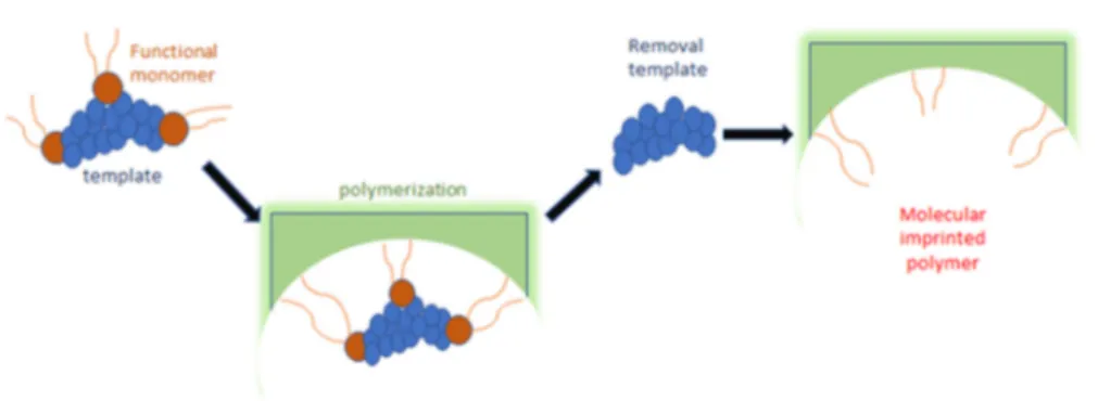 Figure 3. Graphical scheme of MIPs assembling. 