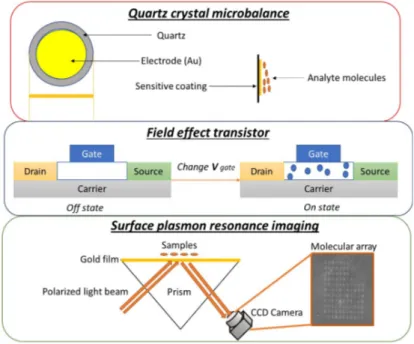 Figure 1. Sketch of the most used transducers in peptides, DNA and MIPs modified gas sensors