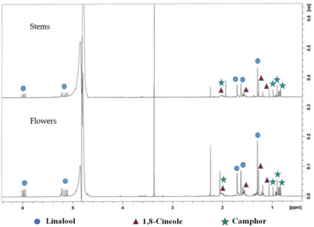 Figure 1.  1 H NMR spectra of Lavandin flowers and stems aromatic waters. 