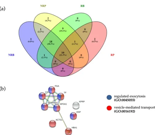 Figure 4. (a) Venn diagram of quantified proteins in RB, NRB, RP and NRP. (b) The 10 pro- pro-teins common to four different clinical conditions were associated to “vesicle-mediated transport” (FDR = 2.27 × 10 −5 , red dots, PPI enrichment p-value = 9.53 ×