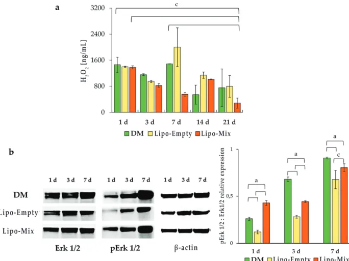 fig. 8. oxidative stress occurrence and related proteins in dpsCs cultured in dm, in presence of Lipo-empty  and Lipo-mix