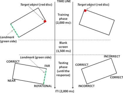 Figure 2. Schematic representation of geometry + landmark-based trials (on the left) and geometry- geometry-based trials (on the right) in Experiment 1.