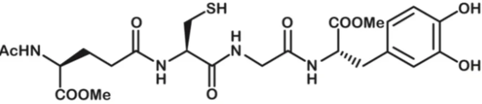 Figure 1. Chemical structure of glutathione-L-3,4-dihydroxyphenylalanine (GSH-LD) codrug