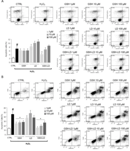 Figure 5. Effects of compounds on H 2 O 2 -induced apoptosis in neuroblastoma cell line