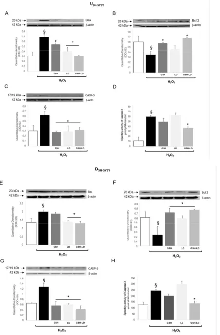 Figure 5. Effects of compounds on H 2 O 2 -induced apoptosis in neuroblastoma cell line