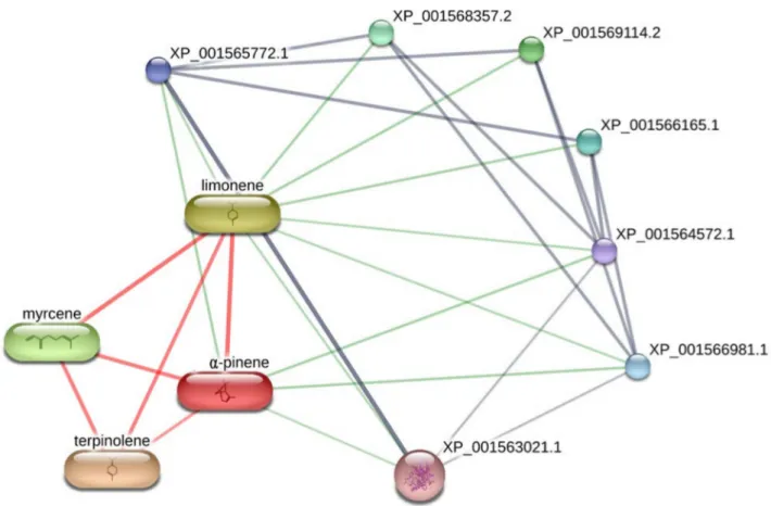 Figure 6. Network pharmacology analysis underlying the theoretical interactions between essential oil phytochemicals, namely α-pinene, myrcene, terpinolene, limonene and leishmanial target proteins
