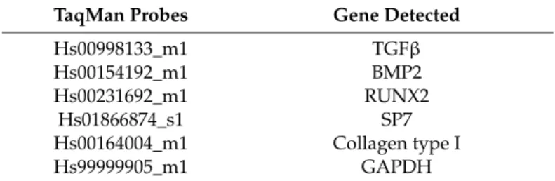 Table 1. TaqMan probes and PCR primers used in the experiments.