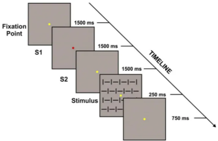 Fig. 1. Schematic representation and time course of the cues and the stimulus adopted in the present task