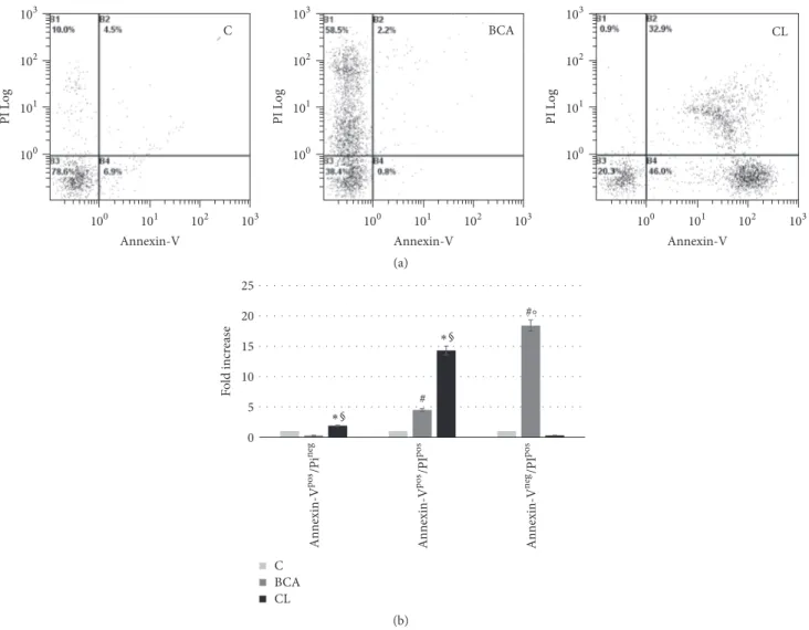 Figure 7: Annexin-V/PI evaluation in human keratinocytes derived from pterygium explants